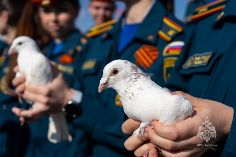 Всероссийская акция «Голубь мира – Голубь Победы!»